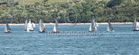3rd, Gold, 14277, Curly Morris & Meg Tyrrell, EABC/NSC - 8, 3, 5, 4, 4, (13) - Total = 37, Nett = 24, in the lead