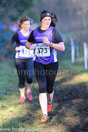 82 Lynne Young ( 373 ) FO Springwell Running Club - 0:30:25
