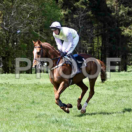 Accessallareas , 3rd, Jockey W Thompson - FT8E1980-e