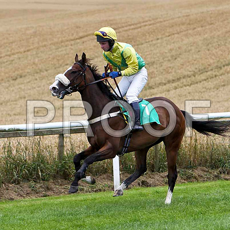 Cheval Du Roi - 9th , Jockey Mr N McParlan - FT8E3825-e
