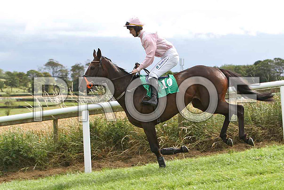 Pink Goddess - 4th , Jockey I J McCarthy - FT8E3860-e2