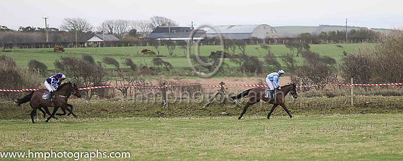 01st MILLARVILLE and B G Crawford ( 3 , LIGHT BLUE,navy seams; light blue sleeves; light blue cap,purple star ) Trainer: S.R.B. Crawford , Owner : S.R.B. Crawford