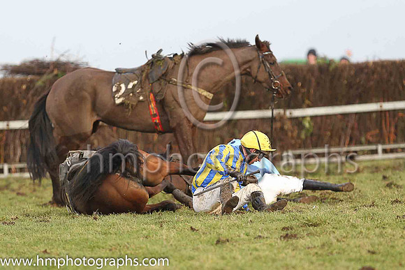 ARCTIC ROBIN and N McParlan ( 5 , ROYAL BLUE  YELLOW STRIPES; royal blue  yellow striped sleeves; yellow cap ) Trainer: Mrs Sarah Dawson , Owner : Dr J.F. Dawson