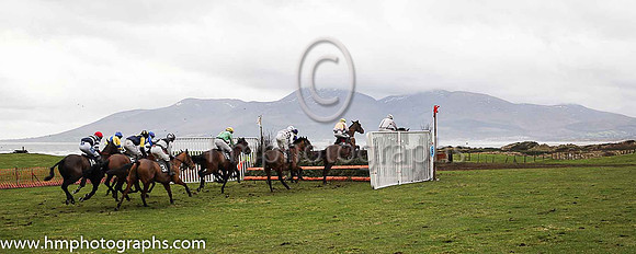 The second race at the East Down P2P Steeplechases underway with the Mourne Mountains in the background