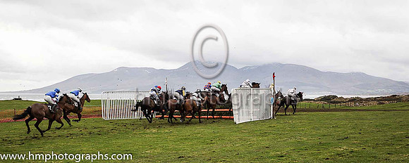 The second race at the East Down P2P Steeplechases underway with the Mourne Mountains in the background
