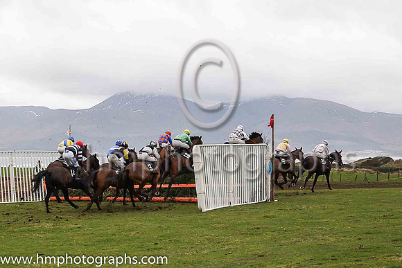 The second race at the East Down P2P Steeplechases underway with the Mourne Mountains in the background