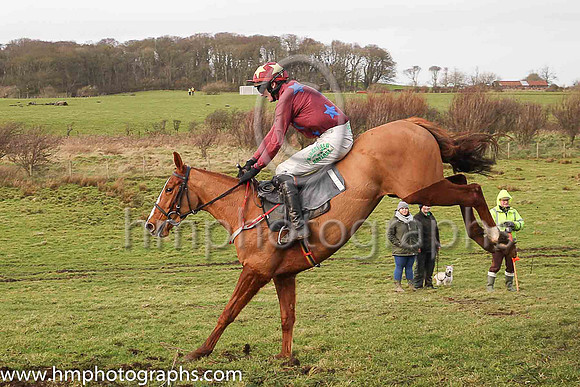 02nd DRUMCONNOR GIRL and D G Lavery ( 1 , MAROON,royal blue stars; maroon sleeves; maroon cap,yellow stars ) Trainer: J.J. Lambe , Owner : Martin Abernethy