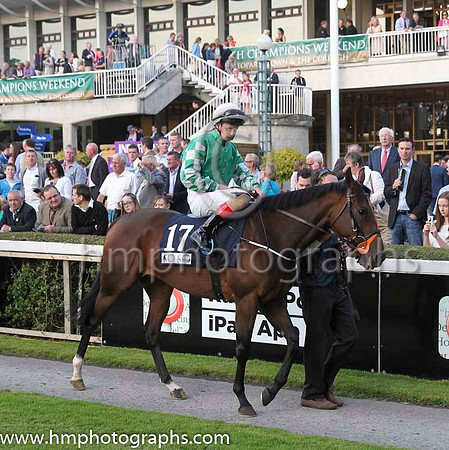 05 Maremmadiavola and R P Downey - - 05th (17 ,emerald green, emerald green and white checked sleeves ) Trainer - E Lynam