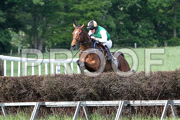 Race 6 Div 2 - Glyding Feather (10) Winner, Rider M J O'Hare - CU2D9825-e