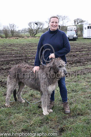 Katrina Mackie from Loughanmore , Templepatrick and Martha a 3 year old Irish Wolf Hound at Kirkistown P2P