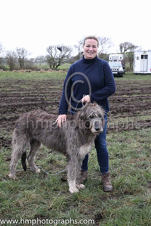 Katrina Mackie from Loughanmore , Templepatrick and Martha a 3 year old Irish Wolf Hound at Kirkistown P2P