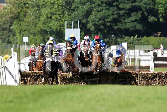 Fearless Warior in the lead at the 2nd hurdle  - FT8E0925-e