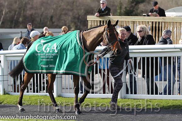 Tammys Hill - winner of the CGA Foxhunter Chase at Cheltenham - FT8E4335-10