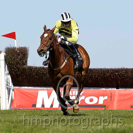 So Determined - 2nd , Jockey E J O'Connell -FT8E2208-e