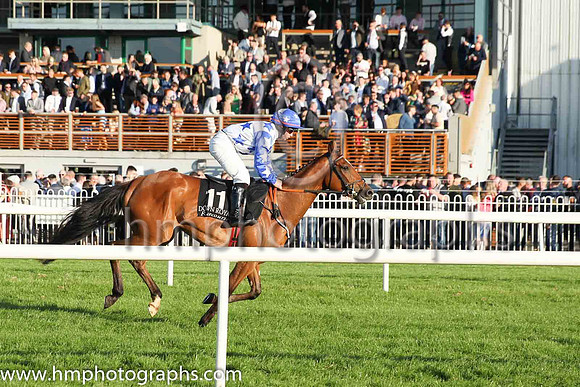 11th Lough Muckno and N.J. Ryan(7) (11 ,white, blue stars ), Trainer:Patrick Magee , Owner:Terence Bellew McManus