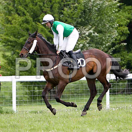 Mullahash , PU, Jockey - D A Fitzsimmons - FT8E2394-e
