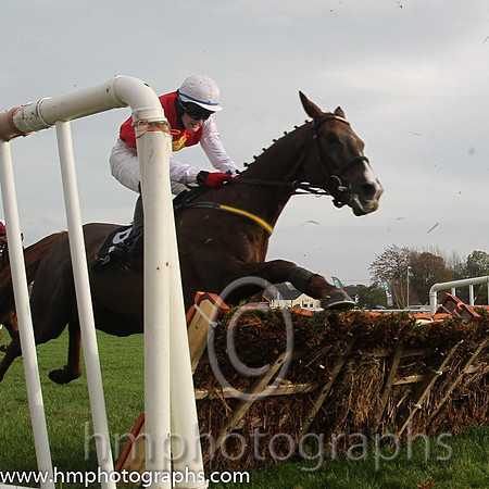 03 Flinders River and G N Fox - - 03rd (9 ,red, yellow diamond ) Trainer - N Meade