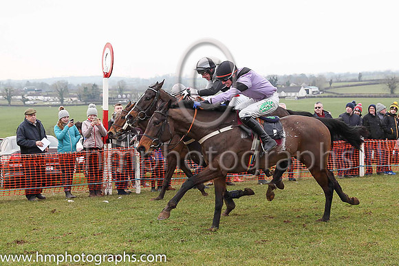 01st Dead Heat between BALLYART and Derek O'Connor ( 2 ,Antrim (H) - BLACK  WHITE QTD; black  white hlvd sleeves; white cap ) and SCHOOL LANE and D G Lavery ( 11 , MAUVE,black sash; mauve sleeves,blac