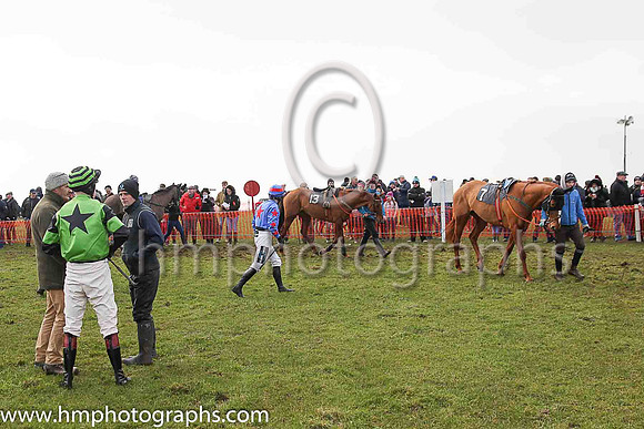 Parade ring at Tynan and Armagh Hunt Point to Point