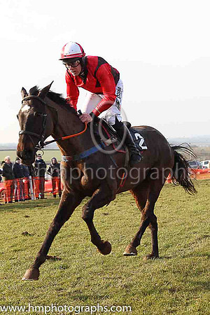 02nd VINNIE LUCK and B O'Neill ( 2 , BROWN,red cross belts; red sleeves; white cap ) Trainer: D.M. Christie , Owner : Syndicate Ray Nicholas's Sporting Pointers