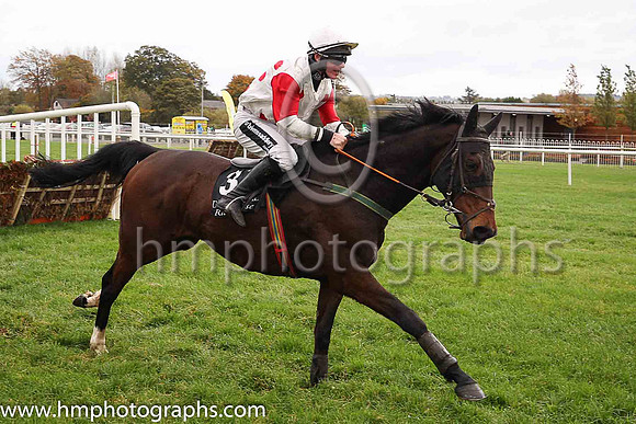 08th Macs Bach and P T Enright ( 3 , white, red spots ) Trainer - Ms M Flynn , Owner - Santry Power Walsh Syndicate