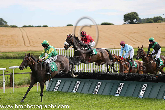 10th Willwehaveone and R Loughran ( 7 , emerald green, yellow cross ) Trainer - G Webb , Owner - Mortimer Gleeson