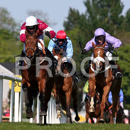 Trabajo - Winner, Jockey Miss N Carbery , Fleur De Nuit - 3rd, Jockey Mr M P Fogarty  & Cebuano - 2nd, Jockey Mr P J McMahon - IMG_0579-e