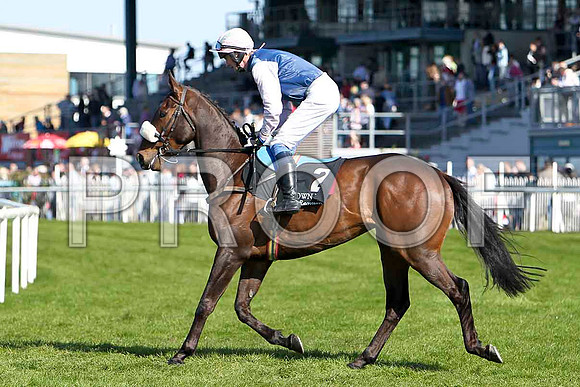 Bradys Cottage - 8th, Jockey Mr M Fahey - FT8E2240-e