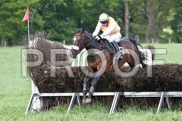 Fifth Race Div 1 - Lady Shirley (6) 3rd, Rider B G Crawford - CU2D9648-e