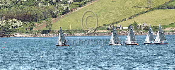 3rd, Gold, 14277, Curly Morris & Meg Tyrrell, EABC/NSC - 8, 3, 5, 4, 4, (13) - Total = 37, Nett = 24