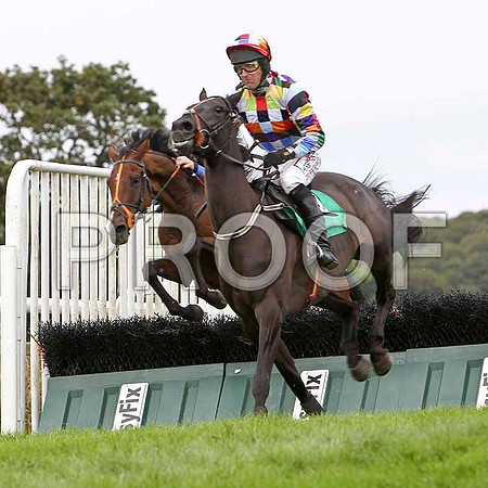 Clouded Thoughts - 2nd, Jockey R M Power - FT8E3843-e