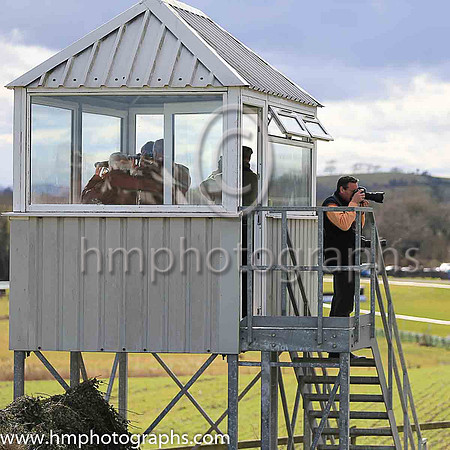 Where the horses?