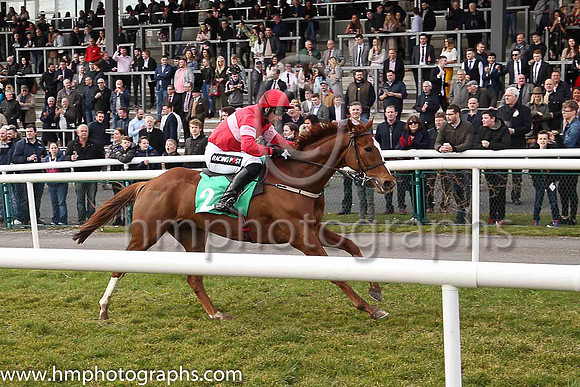 01st Getareason and Mr P W Mullins ( 2 , red, pink band ) Trainer - W P Mullins , Owner - Sullivan Bloodstock Limited