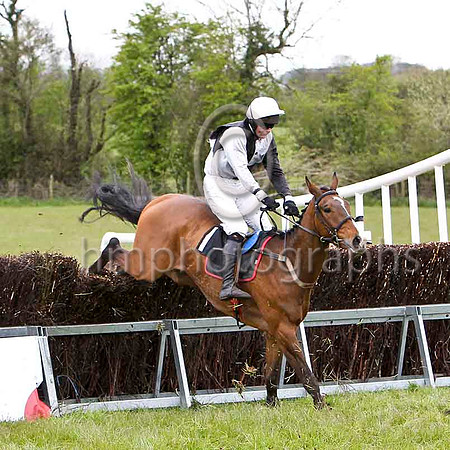 BallyBraes ( 1) & M J O'Hare - 4thFT8E1703-e
