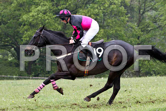 Dynamis Brook , PU, Jockey P J Cosgrave - FT8E2727-e