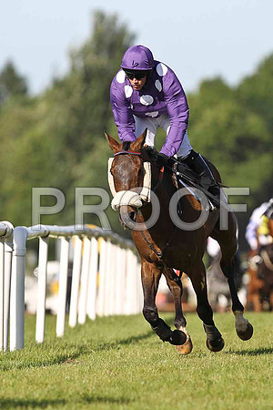 Shinkansen 8th, Jockey D J Condon- FT8E0942-e