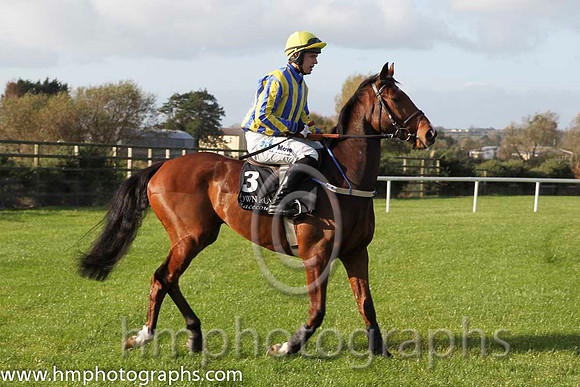 11 Beau Ballistic & I J McCarthy - 11th (3, royal blue and yellow stripes  - CU2D8815-10