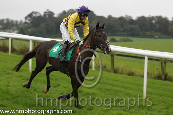 05 Glenconkeyne &amp; D R Fox - 5th(4,yellow and black chevrons)