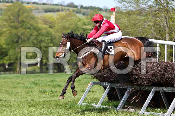 Knockans Breeze - Unplaced - FT8E2006-e