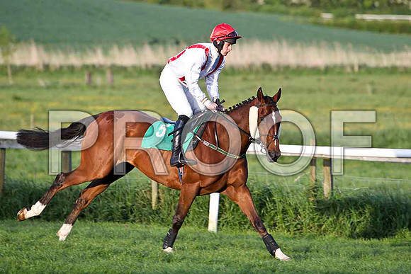 Jamsie Hall , Winner , Jockey - Mr M J O'Hare - FT8E3153-e
