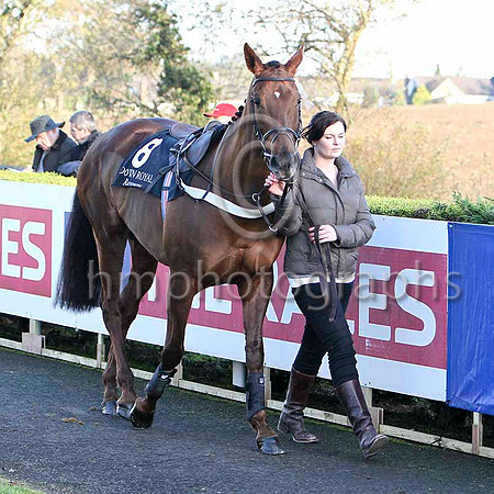 Equation - PU, Jockey A P Crowe - FT8E7162-e2