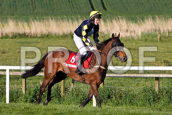 Rosiel , 12th, Jockey - E F Power - FT8E3075-e