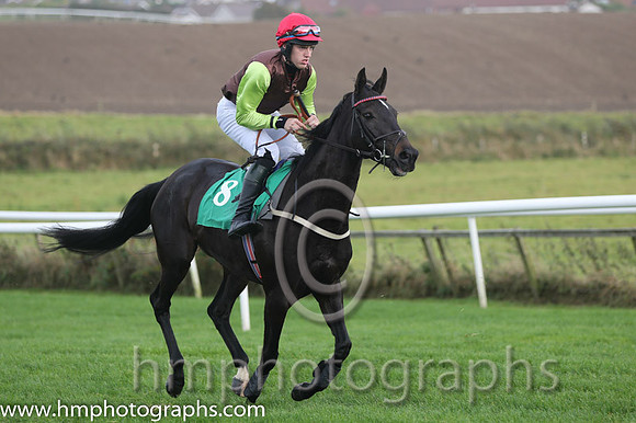05 Carlyan and J S McGarvey - - 05th (8 , Brown, lime green sleeves ) Trainer - P Casey