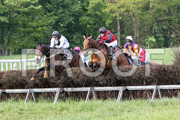 Race 6 Div 2 - Oldtown Road (22) PU, Rider J J Gault, Been a Long Time (2) 6th, Rider B F Brabazon, Gregg Boy (12) 2nd, Rider J Cresswell, Supitinye (27) 3rd, Rider P W Bartlett & Moneyba - CU2D9816-e