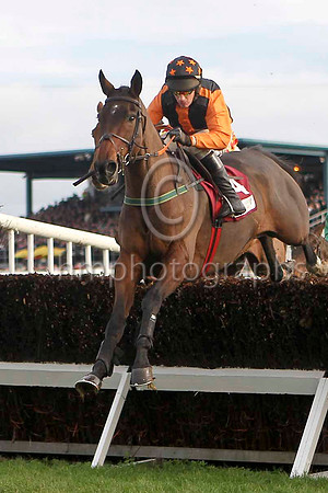 Killyglen - Jockey Paul Carberry - 5th - FT8E4722-e5