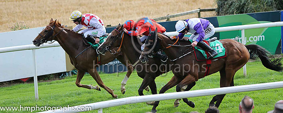 02nd Our Brian and D N Russell ( 5 , red, royal blue star ) Trainer - J P Brennan , Owner - T W Power