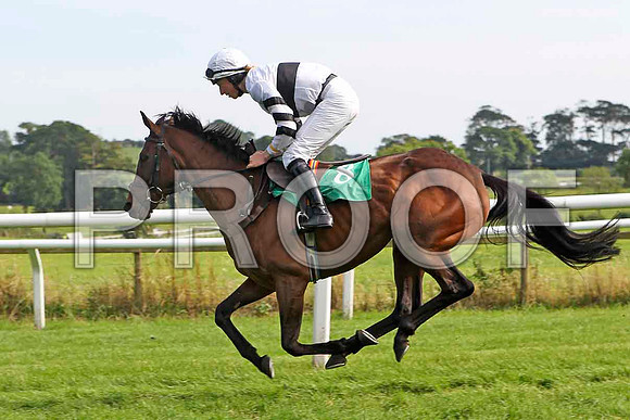 Molly Platts 8th, Jockey Mr M P Fogarty - FT8E3140-e