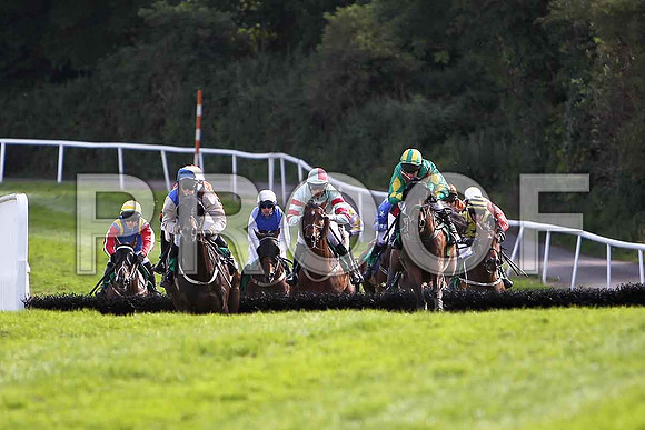 Glens Ruby (blue & white on left) 9th, A E Lynch in the lead - CU2D1796-e