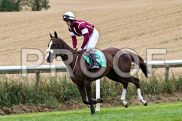 The Dark is Gone - 11th , Jockey B Hayes - FT8E3821-e