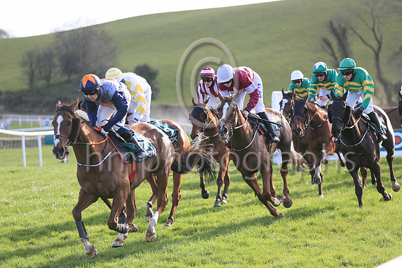 Rachael Blackmore (third from left) , after her six wins at Cheltenham, riding in the R andox Ulster Nation at Downpatrick on Sunday